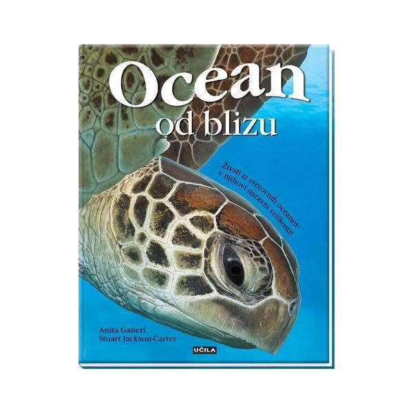 Ocean od blizu