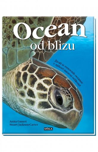 Ocean od blizu